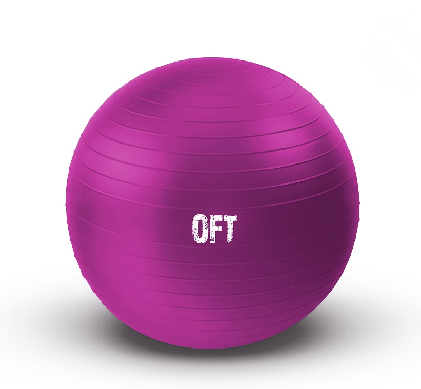 картинка Мяч гимнастический 55 см фуксия FT-GBR-55FX от магазина Спорт ВСК