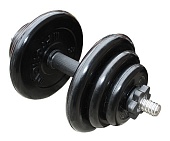 Гантель разборная 19 кг обрезиненная