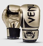 Боксерские перчатки Venum Challenger 2.0 14 oz